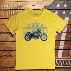 Harley Davidson, moto, bike, biker, мото, байк